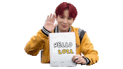 Happy New Year Hello Sticker by koreadispatch