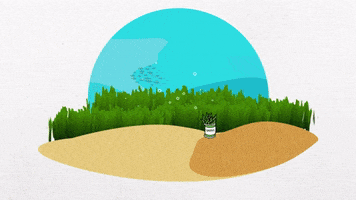 BlueMarineF ocean turtle marine conservation GIF