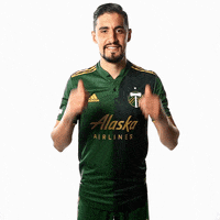 Portland Timbers Thumbs Up GIF by Timbers