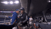 High Five Blue Jays GIF by Toronto Blue Jays