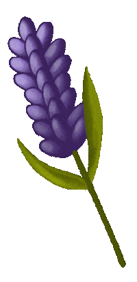 Lavender Sticker by pandoo