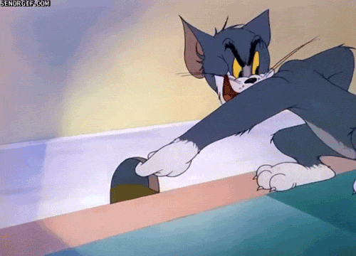 tom and jerry animation GIF by Cheezburger