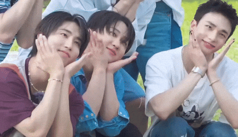 Stray Kids Skz GIF