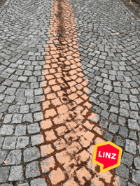 Oil Rot GIF by Linz News