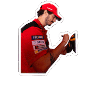DucatiMotor bike race moto motogp Sticker