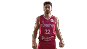 Game Basketball Sticker by FIBA