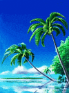 palm tree water GIF