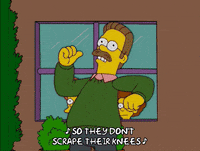 episode 14 todd flanders GIF