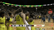 wnba celebration win cheer storm GIF