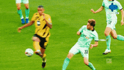 Germany Bundesliga GIF by MolaTV