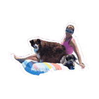 Dog Sticker by Crissy Conner