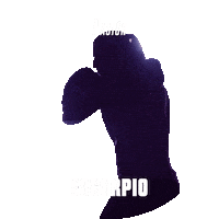 Astrology Zodiac Sticker by Sealed With A GIF