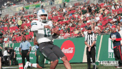 football touchdown GIF by GreenWave