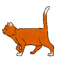 studioumi cat cats kitty katze Sticker