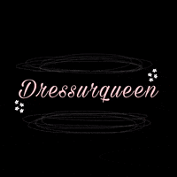Sunshine_lariii horse equestrian pferd dressage GIF