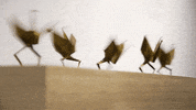 GIF by Digg