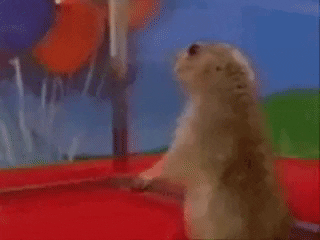 suslian giphygifmaker GIF