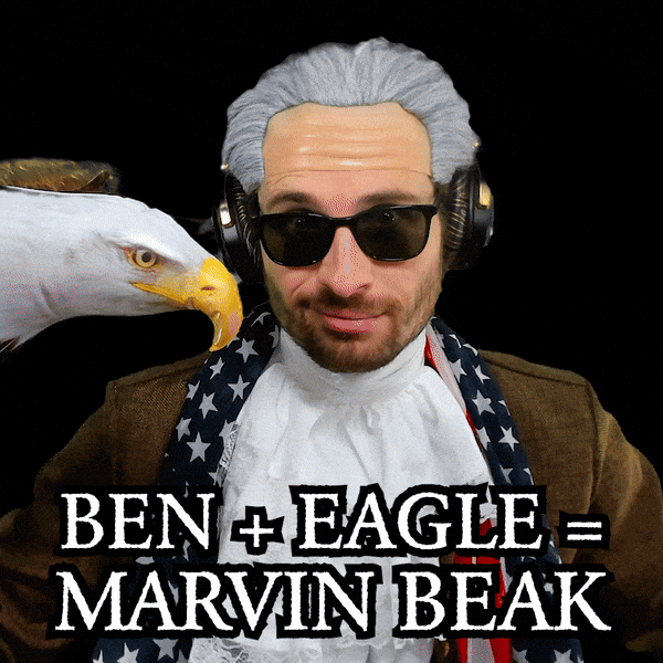 Bald Eagle Ben GIF