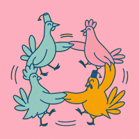 Eat Orange County GIF by Dizzy Bird