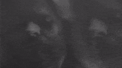 Heavy Metal GIF by Machine Head