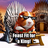 Game Of Thrones Fantasy GIF by Guinea Gambino