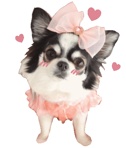 Dogs Love Sticker