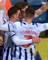 West Brom Football GIF by West Bromwich Albion