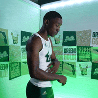 South Florida Horns Up GIF by USF Athletics