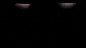 The Show Brand GIF by ara-official