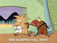 angry beavers nicksplat GIF