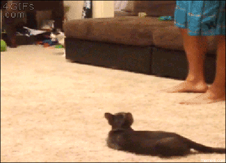 scared GIF