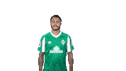 Leonardo Bittencourt Bundesliga Sticker by SV Werder Bremen