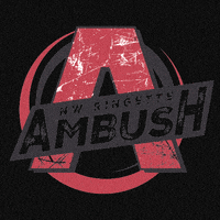 Nwambush GIF by NWringette