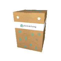 Happy Loop Sticker by Plants & Living