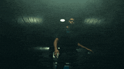 North Carolina Reaction GIF by Charlotte Hornets