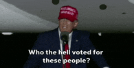Donald Trump GIF by GIPHY News