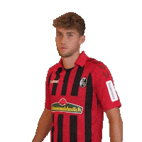 Sc Freiburg Football Sticker by SCF