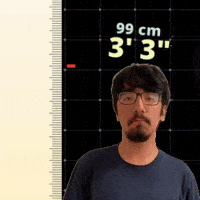 3' 3"