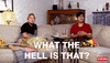 Watching Tv What The Hell Is That GIF by Gogglebox Australia