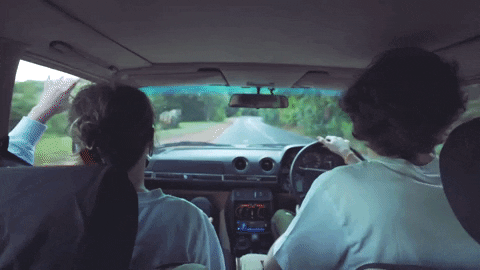 willlinley giphygifmaker happy singing driving GIF