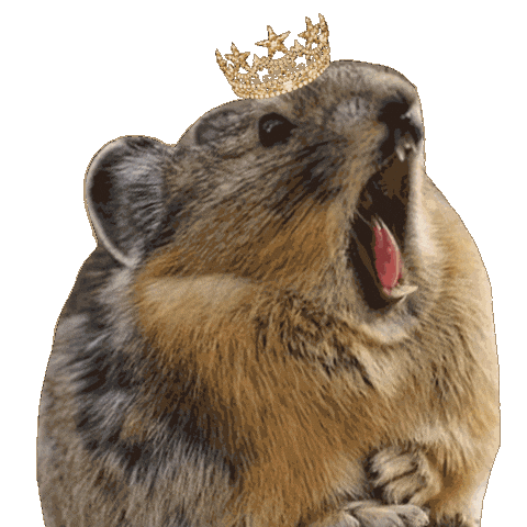 Screaming Let Me Love You Sticker