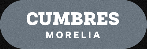 Torneo De La Amistad GIF by TDLA