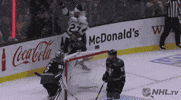 happy ice hockey GIF by NHL