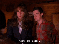 season 2 GIF by Twin Peaks on Showtime