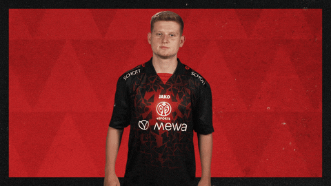 Mainz 05 Football GIF by Bundesliga