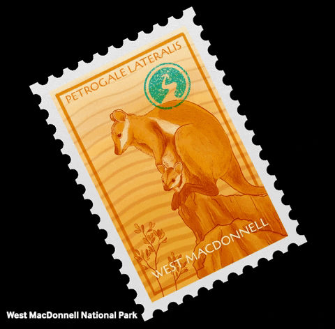 NortherHQ giphygifmaker australia joey stamp GIF