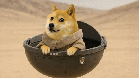 Star Wars Doge GIF by LitVM