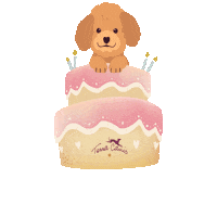 Happy Birthday Dog Sticker by Terra Canis