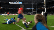 celebrate england rugby GIF by Guinness Six Nations