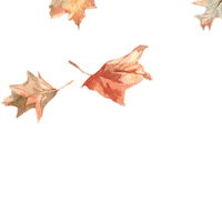 Fall Falling Sticker by Amy's Kitchen